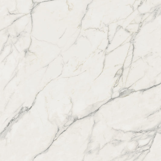 12x24 Calacatta Extra 9mm Matt