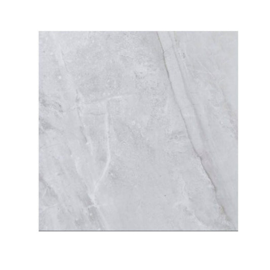 24x24 Gray/Gris Polished