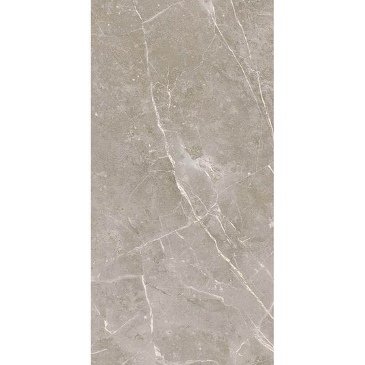 12x24 Franklin Gray Matt