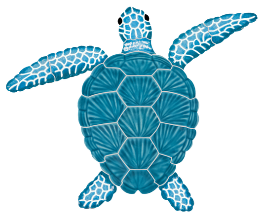 8x10 Loggerhead Turtle Aqua