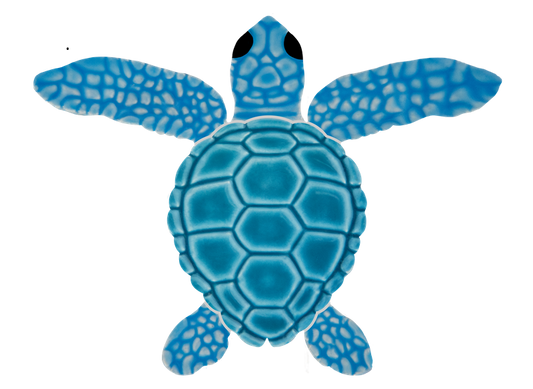 4in Loggerhead Turtle B Mini Aqua