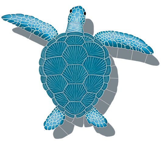 21x26 Loggerhead Turtle Aqua With Shadow