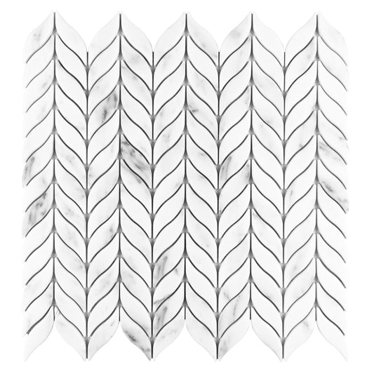 12x12 Carrara Willow