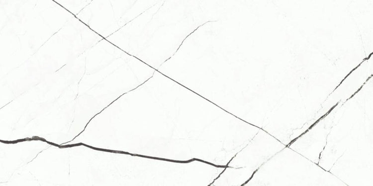24x48 Glam White Polished