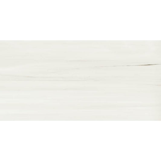 24x48 Warm White Matte