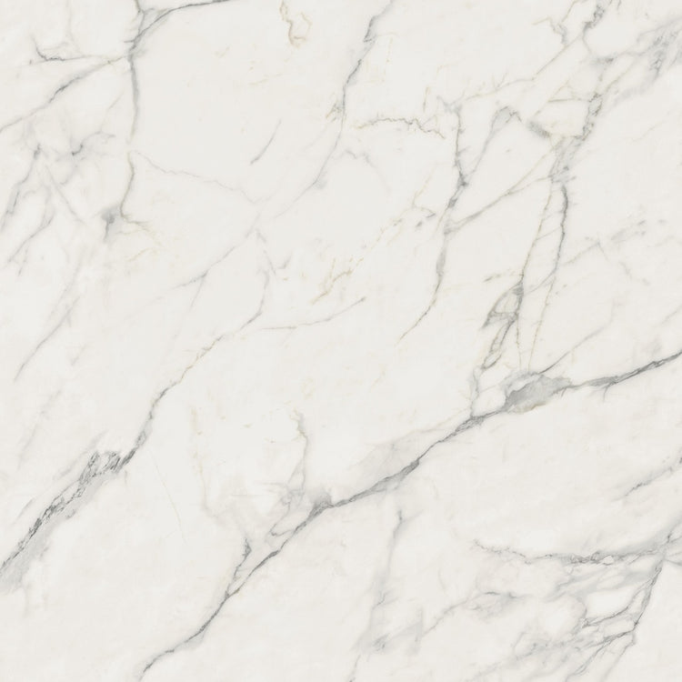 12x24 Calacatta Extra 9mm Matt