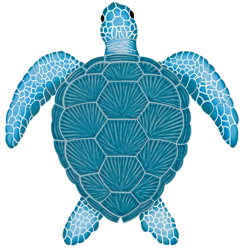 15x14 Loggerhead Turtle 