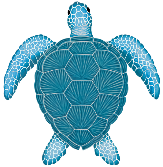 15x14 Loggerhead Turtle 