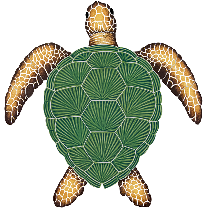 15x14 Loggerhead Turtle Natural