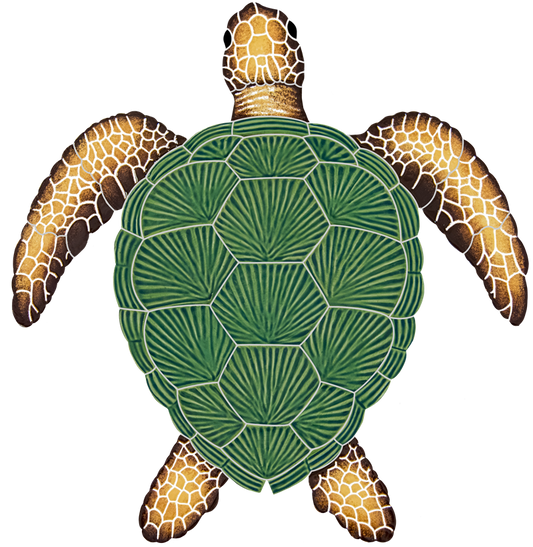 15x14 Loggerhead Turtle Natural