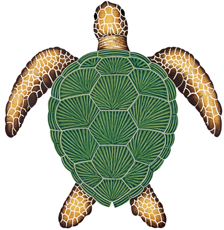 15x14 Loggerhead Turtle Natural
