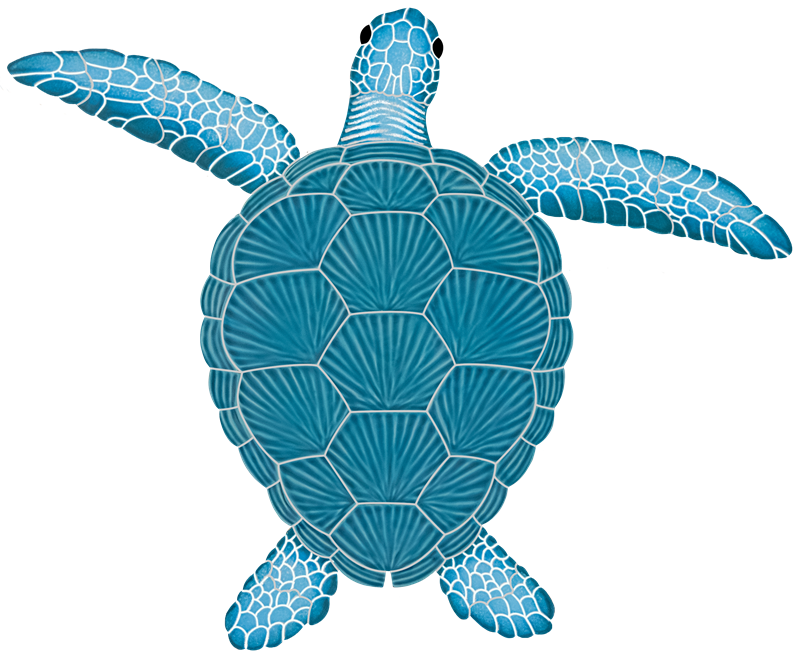 20x24 Loggerhead Turtle Aqua