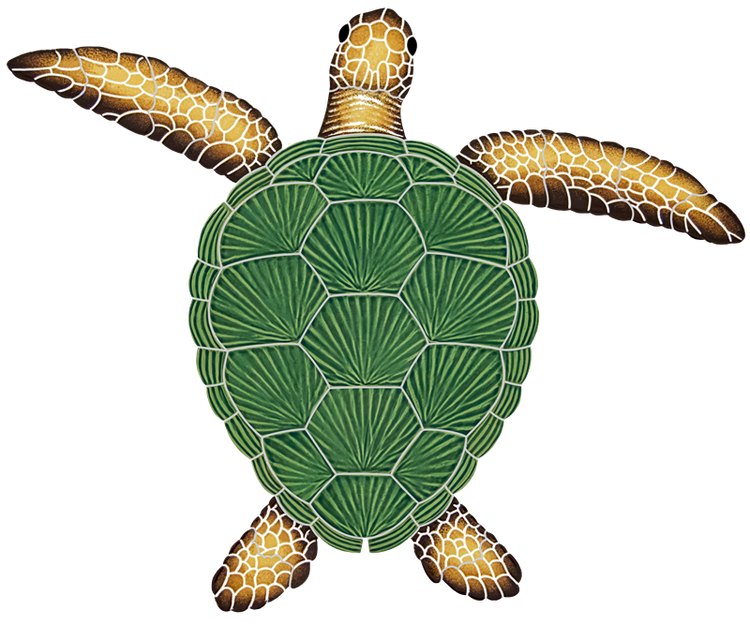 20x24 Loggerhead Turtle Natural
