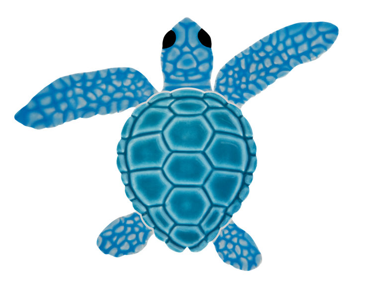 4in Loggerhead Turtle A Mini Aqua 