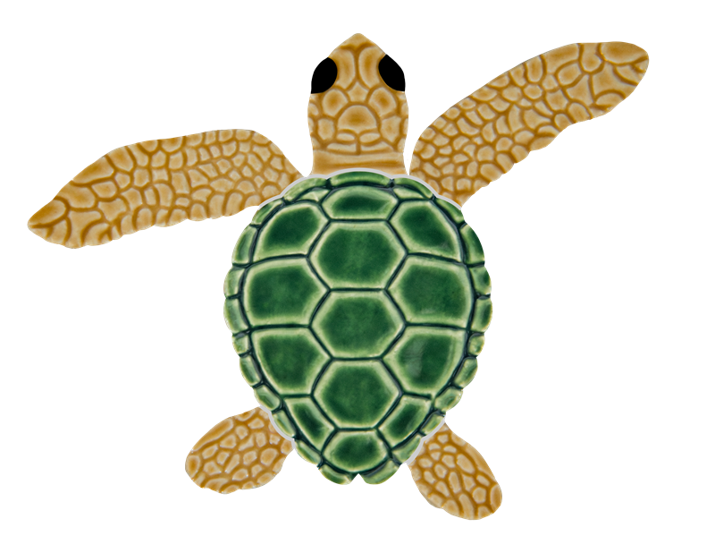 4in Loggerhead Turtle A Mini Natural 