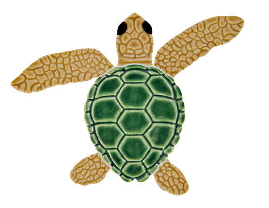 4in Loggerhead Turtle A Mini Natural 