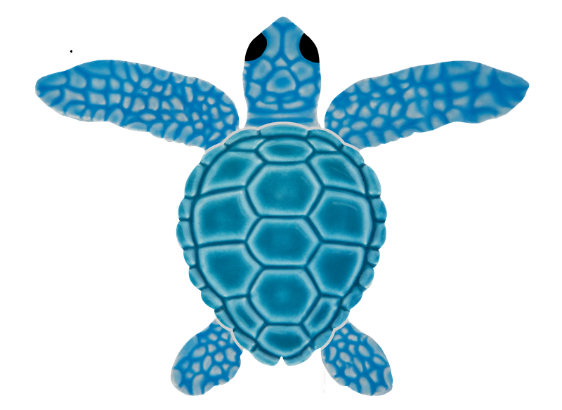 4in Loggerhead Turtle B Mini Aqua