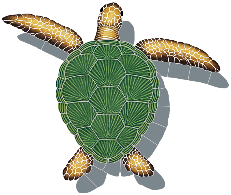 21x26 Loggerhead Turtle Natural With Shadow