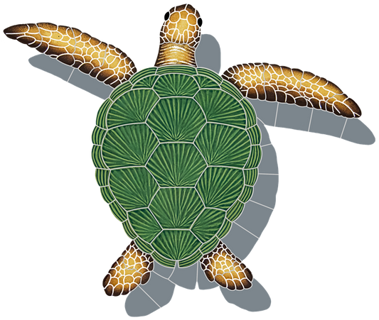 21x26 Loggerhead Turtle Natural With Shadow